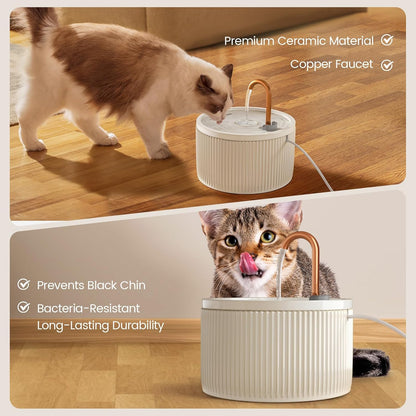 Cearmic Cat Water Fountain with 12 Packs Cat Water Fountain Filters